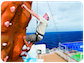 Galería de Fotos Temptation Caribbean Cruise - Febrero 2024